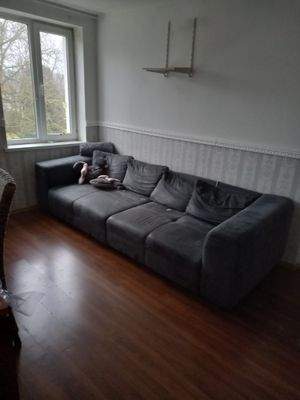 Graues Sofa am Fenster