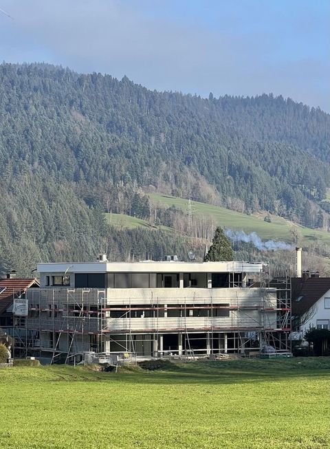 Hausach Wohnungen, Hausach Wohnung mieten