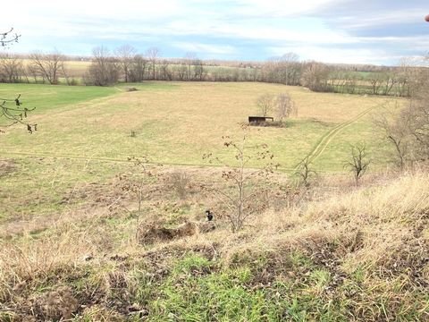 Pegau Bauernhöfe, Landwirtschaft, Pegau Forstwirtschaft