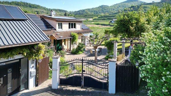 Einladende Einfahrt mit elegantem Zufahrtstor