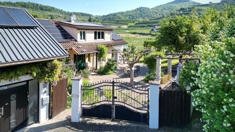 Vogtsburg i.K. / Bickensohl Häuser, Vogtsburg i.K. / Bickensohl Haus kaufen