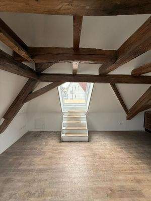 PHOTO-2026-03-26-13-48-17 3.jpg