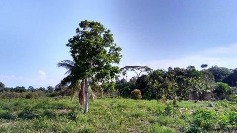 Manaus Grundstücke, Manaus Grundstück kaufen