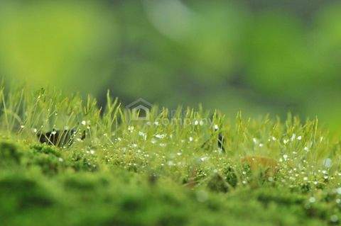 Eggendorf Grundstücke, Eggendorf Grundstück kaufen