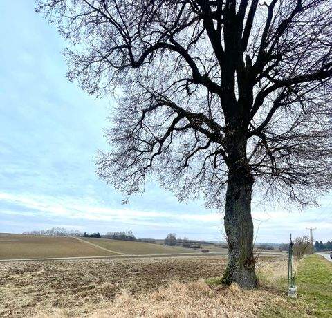 Pförring Bauernhöfe, Landwirtschaft, Pförring Forstwirtschaft