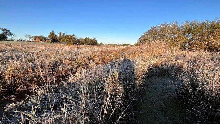 An Grundstücksgrenze mit Bach