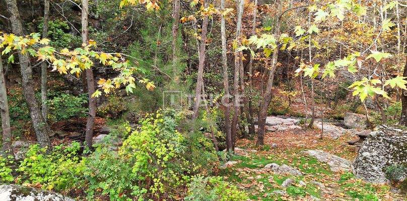 Detached Duplex Villas with Gardens in Bursa