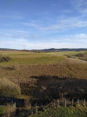 Nur schauen oder auch kaufen ?