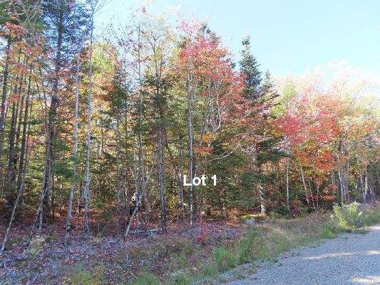 Nova Scotia - West Side Country Harbour - Preiswer