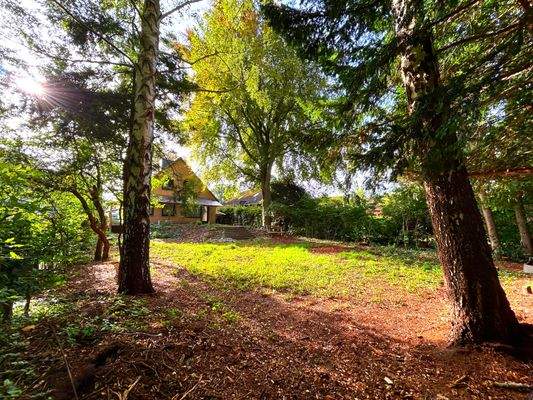 Garten Blick zum Haus