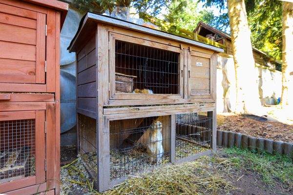 Meerschweinchenkäfig