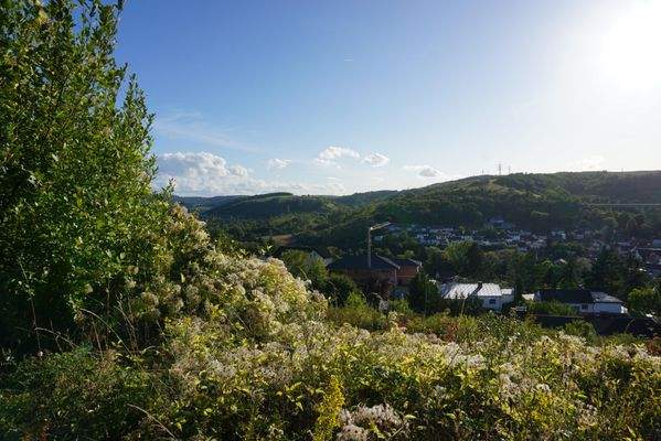 Hanglage mit Charakter