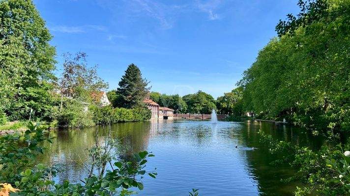 Impressionen der Umgebung