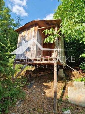 Baumhaus