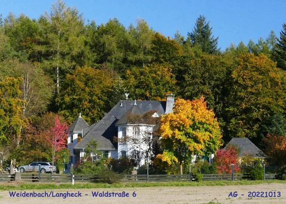 Waldstraße 6 neben dem Angebot