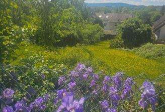 Blick nach Süden_1.jpg