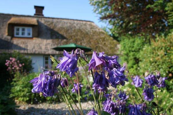 Ihr Herzstück. Impressionen Garten. 