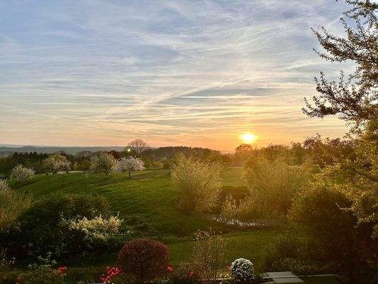 einmaliger Panoramablick