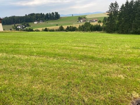 Esternberg Grundstücke, Esternberg Grundstück kaufen