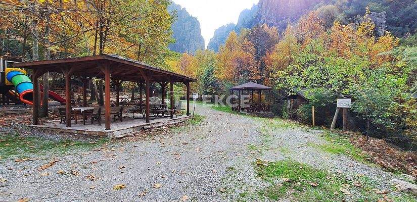 Detached Duplex Villas with Gardens in Bursa