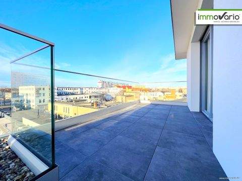 Magdeburg / Neue Neustadt Wohnungen, Magdeburg / Neue Neustadt Wohnung mieten