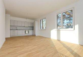 moderne Einbauküche