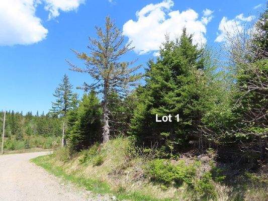 Cape Breton - Wunderschönes 10-Hektar-Areal inmitt