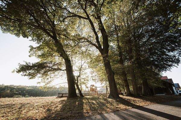 Leonberg, Biergarten.jpg
