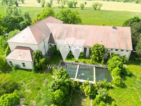 Bad Schmiedeberg Bauernhöfe, Landwirtschaft, Bad Schmiedeberg Forstwirtschaft
