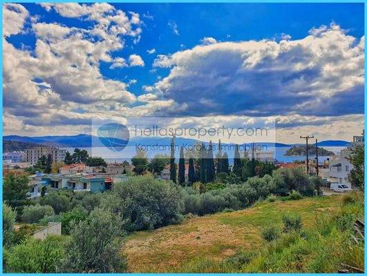 c0b9ef6d28954f4480fbc9d4f9edc4c0-original