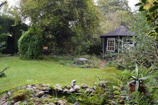 Impressionen aus dem Sommer!