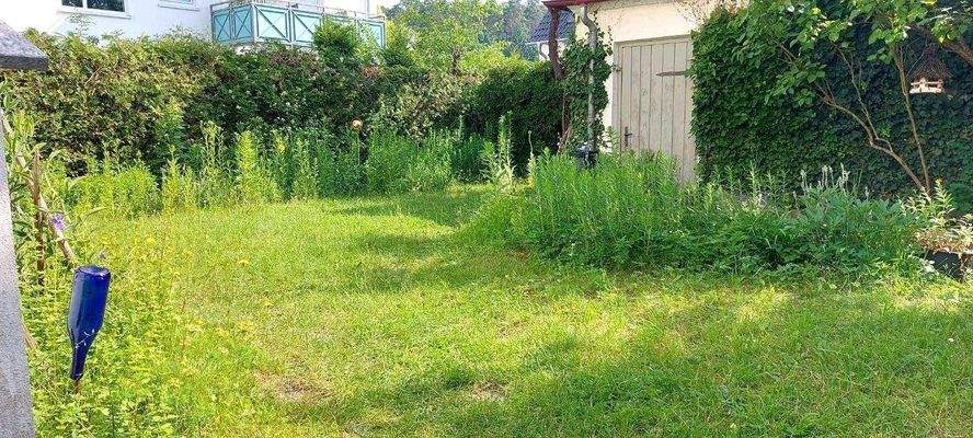 Garten.jpg