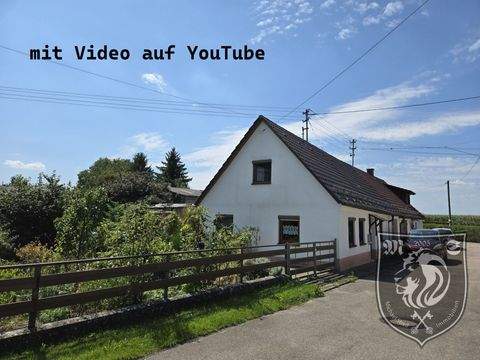 Lauingen (Donau) Häuser, Lauingen (Donau) Haus kaufen