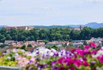 Blick über Tübingen