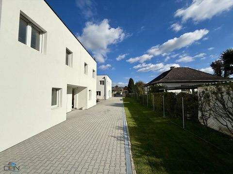 Markgrafneusiedl Häuser, Markgrafneusiedl Haus kaufen