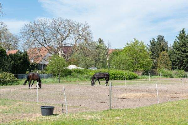 Am_Reitplatz