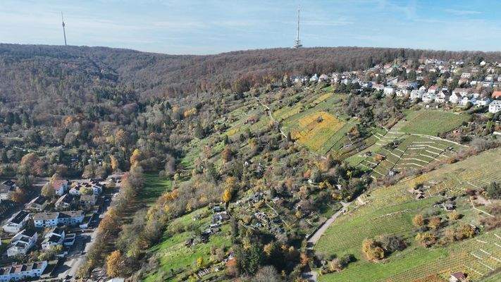 die Umgebung mit Blick Fernsehturm Stuttgart