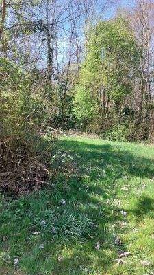 Grundstücksfläche