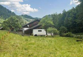 Schaf und Alpaka fühlen sich hier wohl