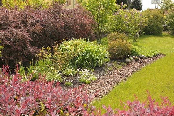 angelegter Garten