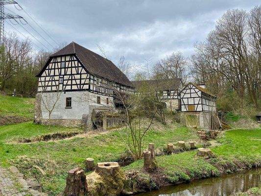 15 Baumpflege am Seebach abgeschlossen.jpg