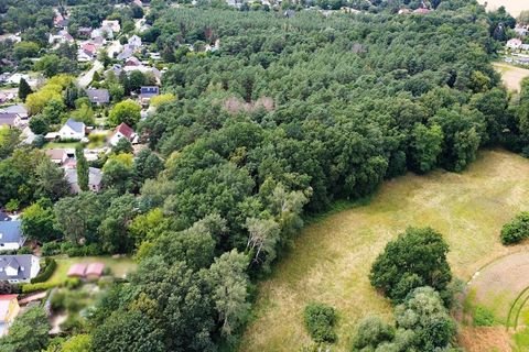 Zossen OT Dabendorf Bauernhöfe, Landwirtschaft, Zossen OT Dabendorf Forstwirtschaft