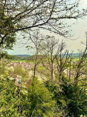 Blick über Aschach und in die Ferne