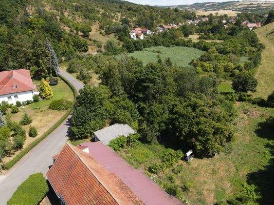 Grundstück (Apfelwiese)