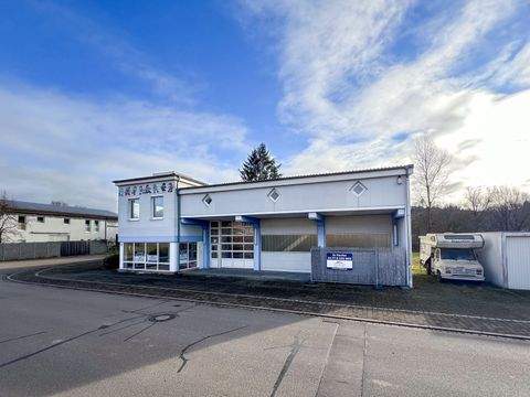 Steinen Halle, Steinen Hallenfläche