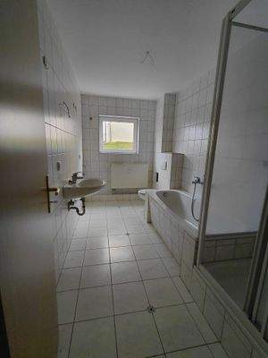 WhatsApp Image 2026-02-12 at 10.38.58 (1)