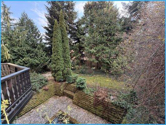 toller eingewachsener Garten