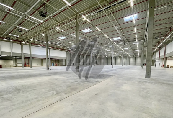 INFOS UNTER: 06171-586000