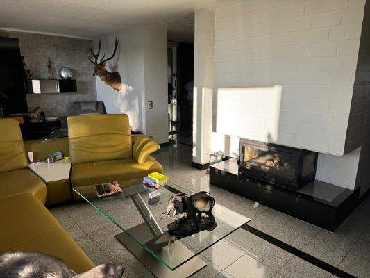 WhatsApp Image 2024-10-25 at 13.19.52(17).jpeg