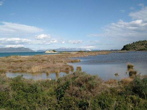 Griechenland Industrieflächen, Lagerflächen, Produktionshalle, Serviceflächen